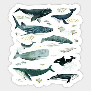 Nautical Nomads Sticker